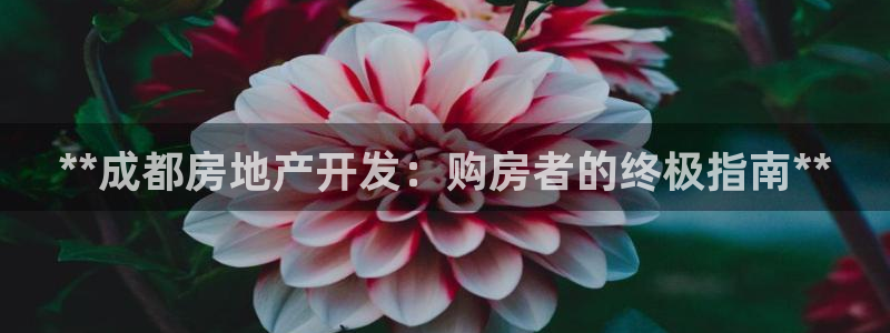 万向娱乐官网下载安装