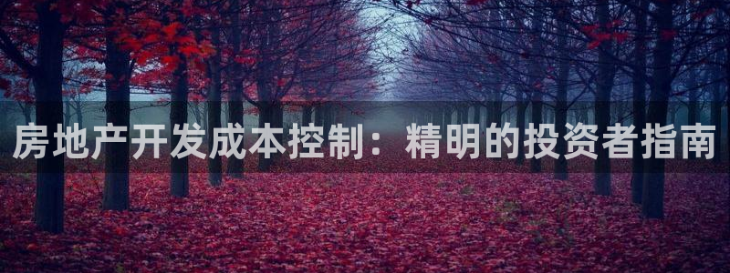 万向娱乐平台代理怎么做