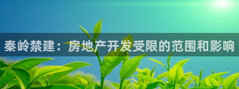 万向娱乐平台下载安装手机版
