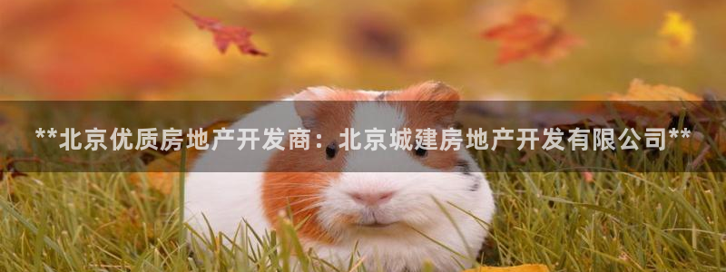 万向娱乐平台代理怎么做