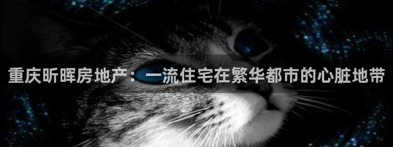 万向娱乐代理好看视频