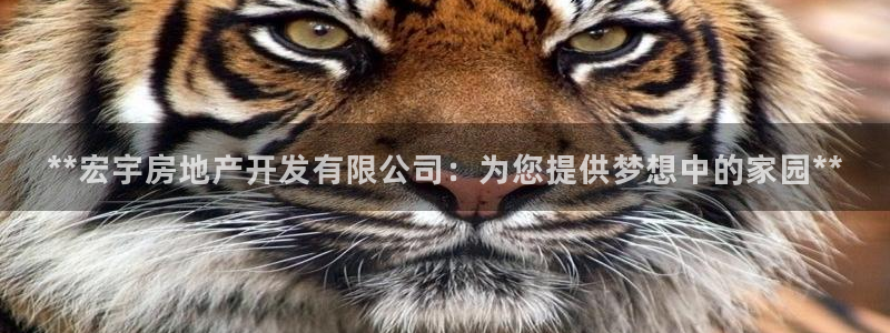 万向娱乐王者荣耀