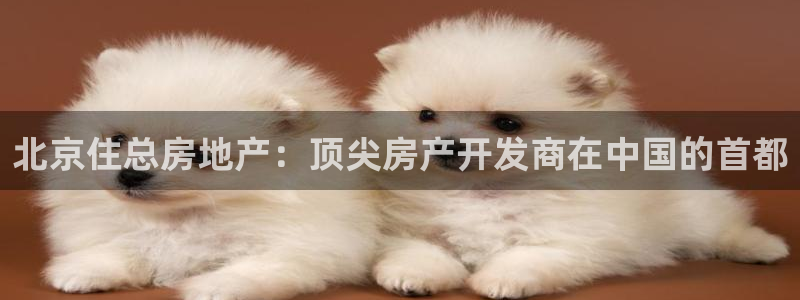 万向娱乐官网下载