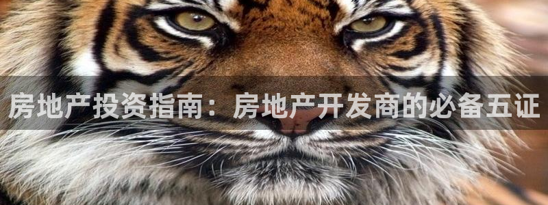万向娱乐是野鸡台吗