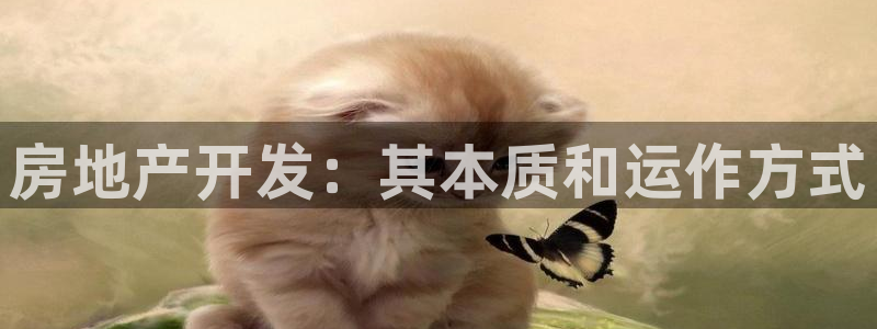 万向娱乐首页