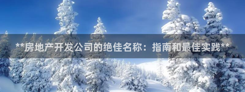 万向娱乐官网下载安卓