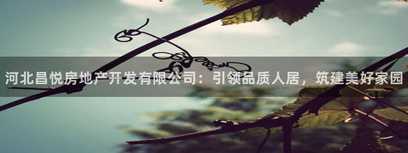 万向娱乐app