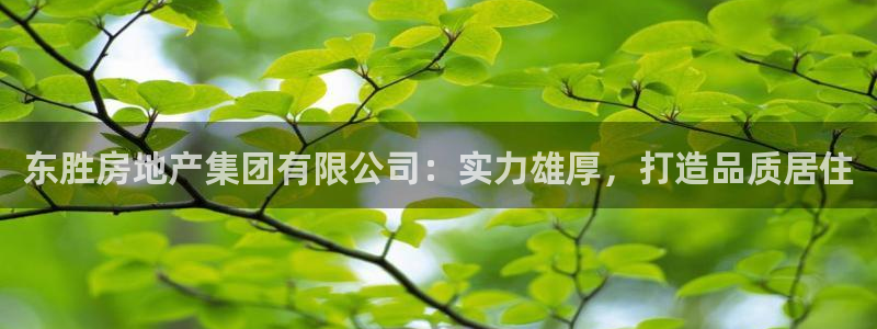 万向娱乐登陆官网