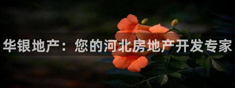万向娱乐平台代理怎么样
