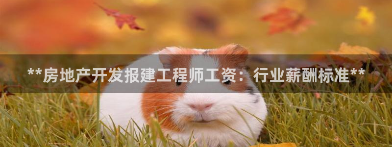 万向娱乐官网网址大全