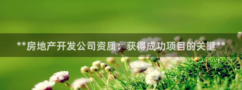 万向娱乐app下载安装