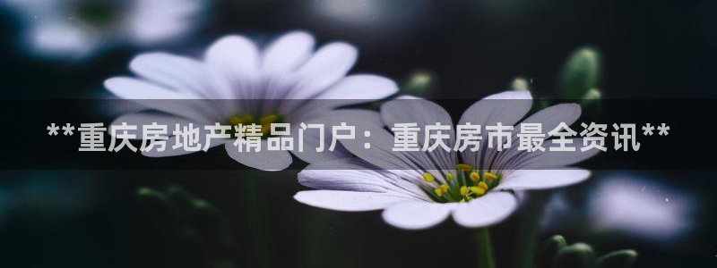 万向娱乐官网首页