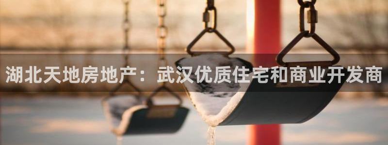 万向娱乐是野鸡台吗
