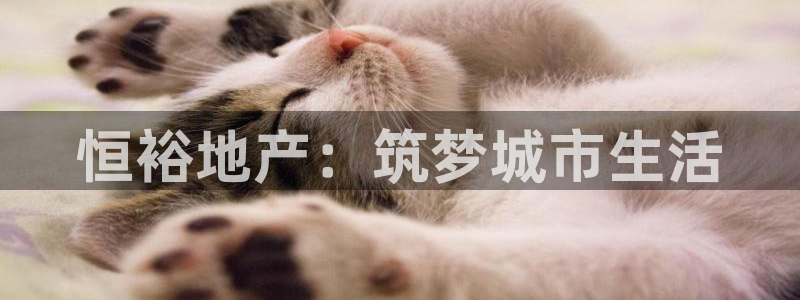 万向娱乐官网网址是什么