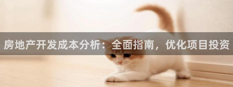 万向娱乐平台代理多少钱一年