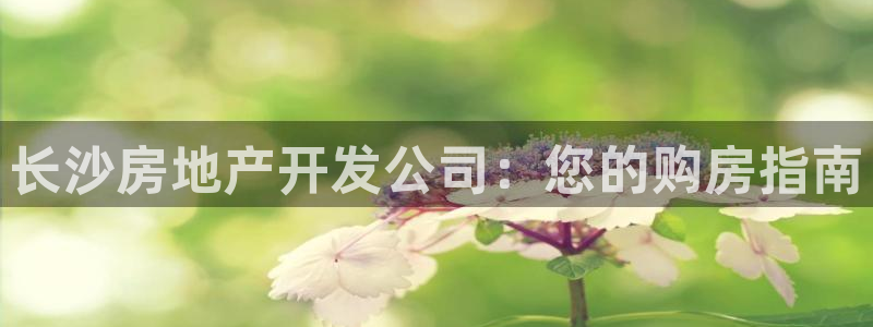 万向娱乐app下载苹果版