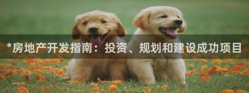 万向娱乐平台代理怎么做