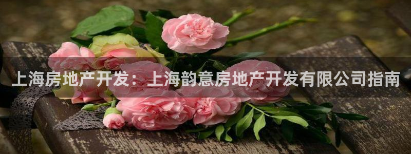 万向娱乐代理好看视频是真的吗