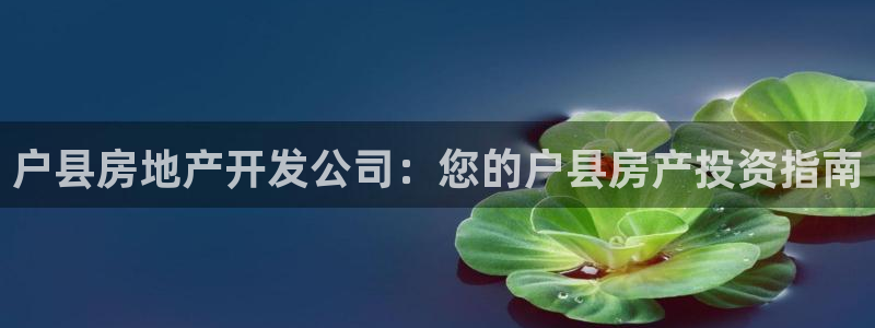 万象游戏代理
