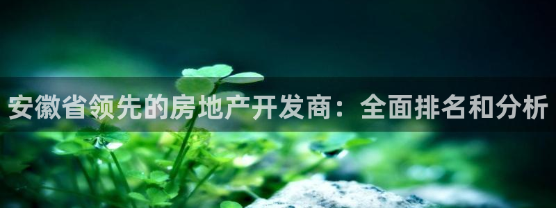 万向娱乐是野鸡台吗