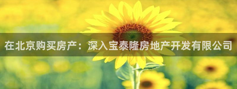 万向娱乐官网下载安卓