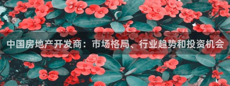 万向娱乐的联系方式有哪些