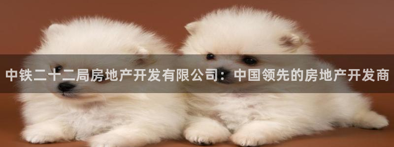 万向娱乐官网网址是多少