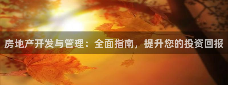 万向娱乐app