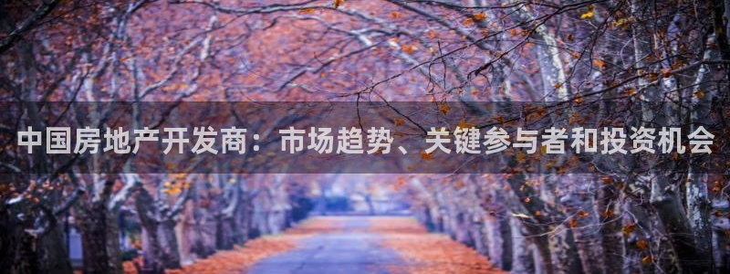 万向娱乐代理好看视频