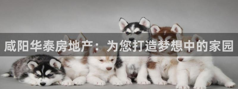 万向娱乐平台代理怎么做的