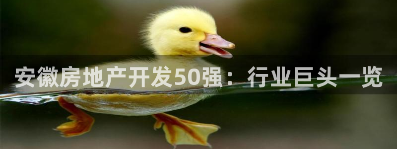 万向娱乐平台代理怎么样可靠吗