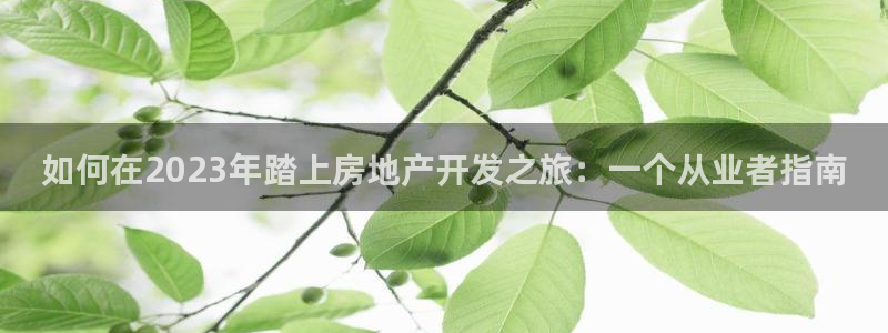 万象游戏代理