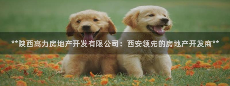 万向娱乐是哪个旗下