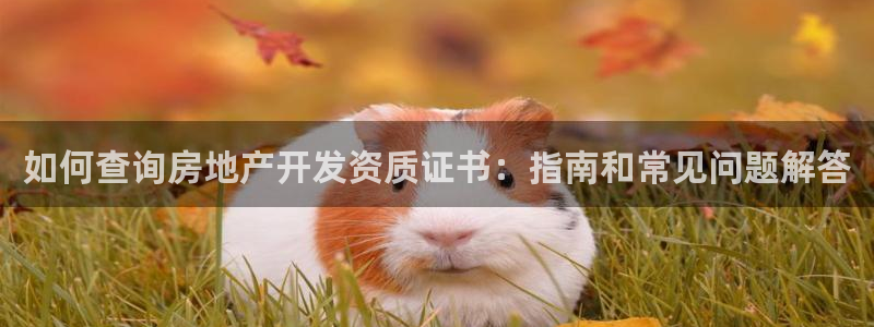 万向娱乐公司官网