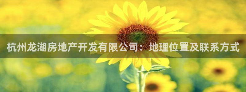 万向娱乐平台代理怎么样