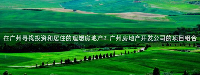 万向娱乐灯333OO
