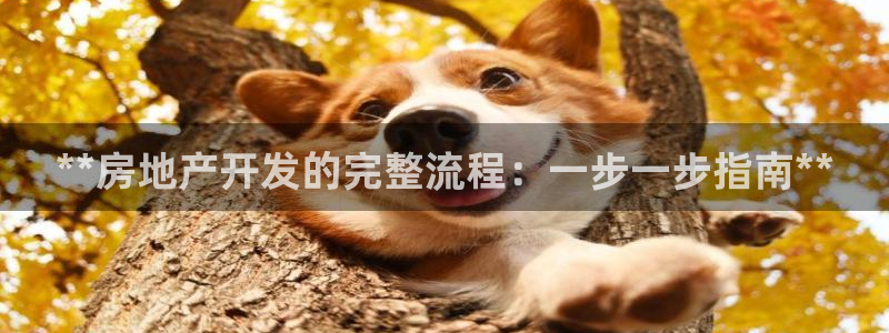 万向娱乐招商