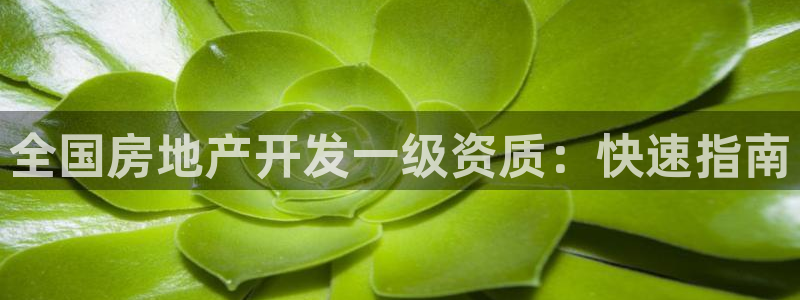 万向娱乐app下载安装