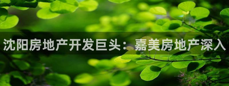 万向娱乐下载