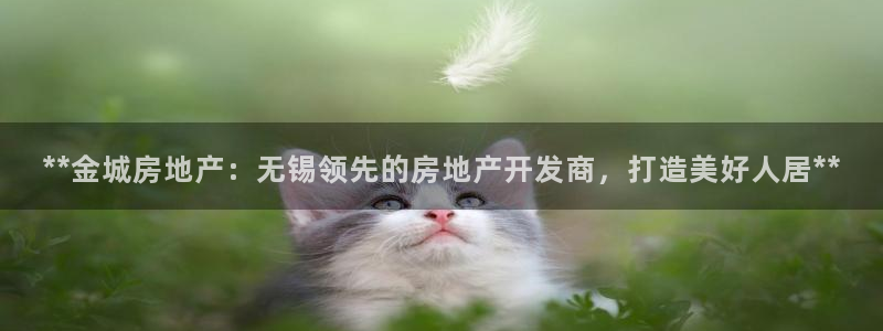 万向娱乐app下载苹果版