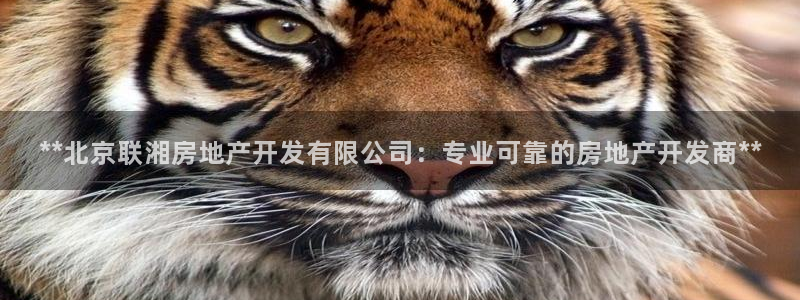 万向娱乐平台代理
