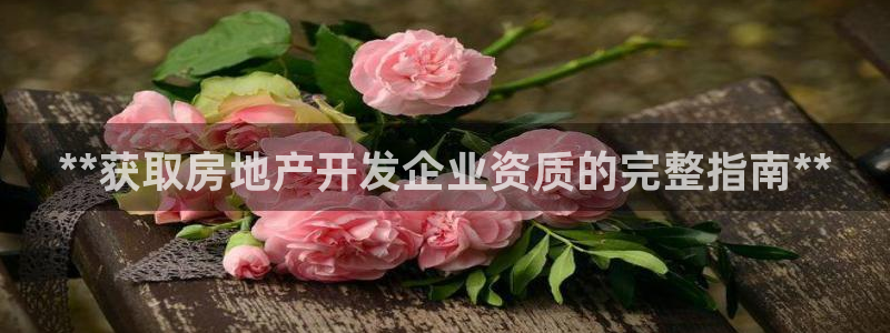 万向娱乐官网
