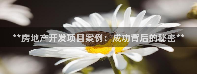 万向娱乐官网下载安装最新版