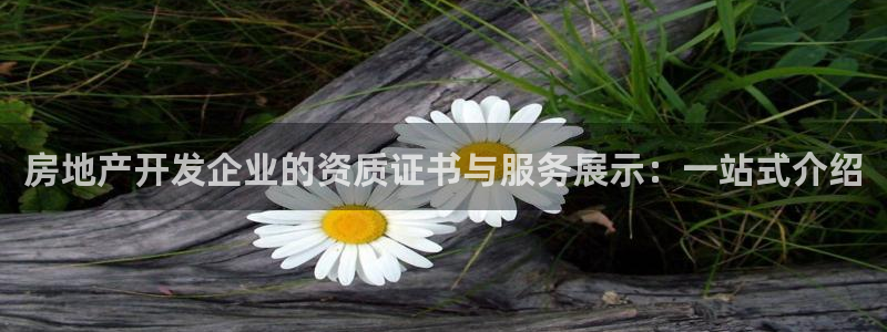 万向娱乐平台招商骗局
