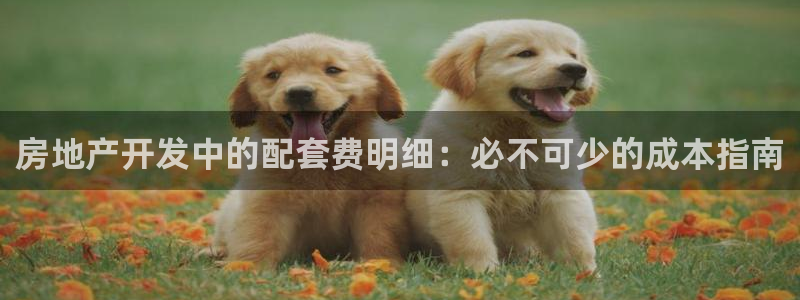 万向娱乐平台代理怎么样赚钱