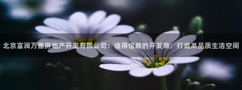 万能娱乐平台直招代理