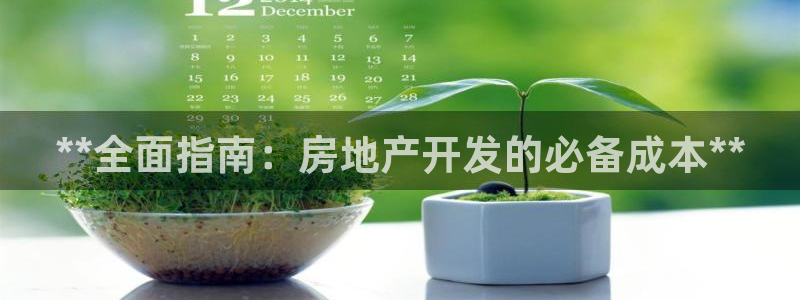 万向娱乐挂机