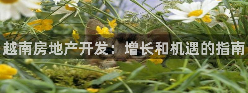 万向娱乐下载