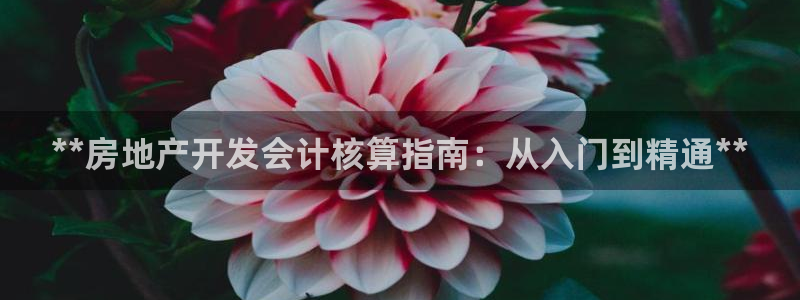 万向娱乐是野鸡台吗