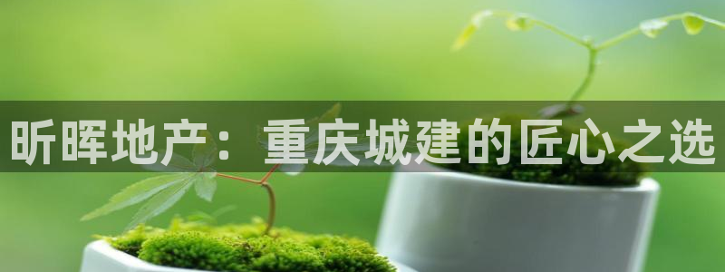 万向娱乐平台代理怎么做的